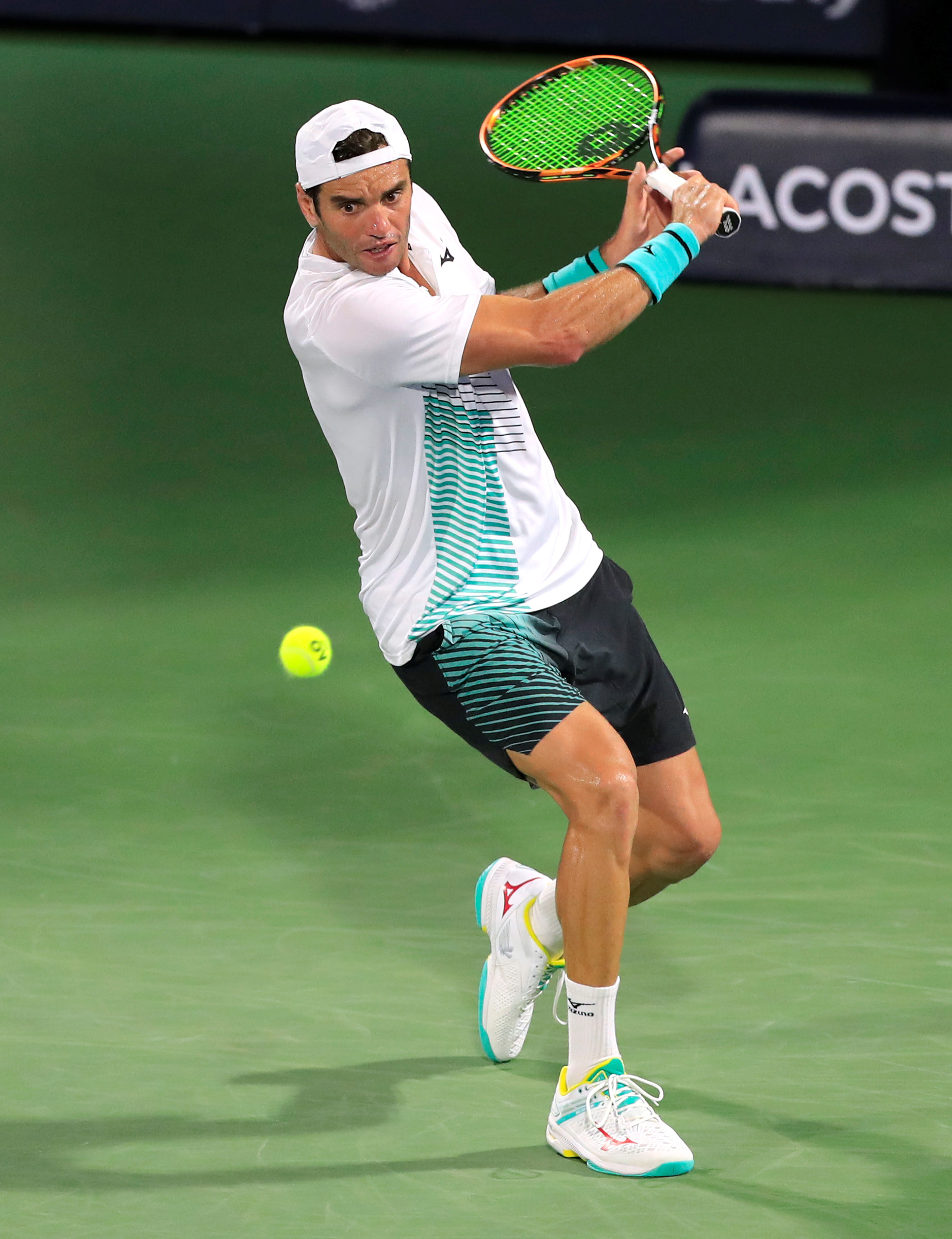 道双保险 道双保险